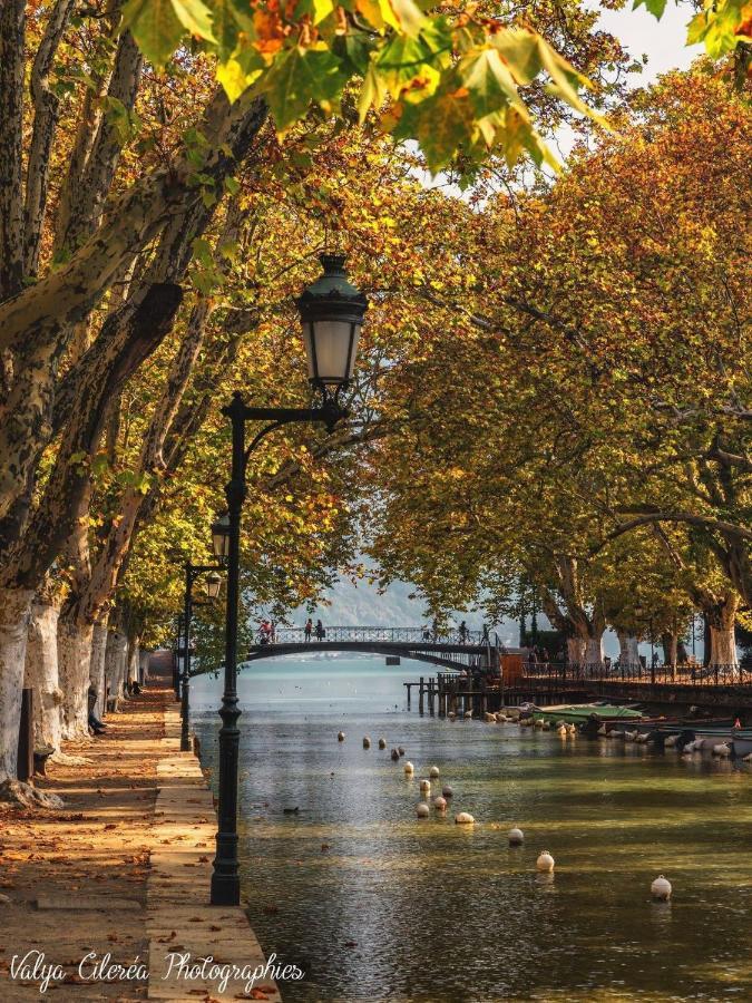Apartament La Madeleine Annecy Zewnętrze zdjęcie